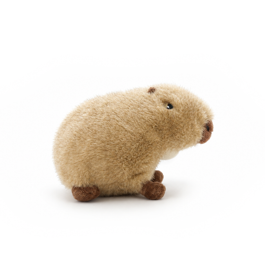 Kapi The Capybara