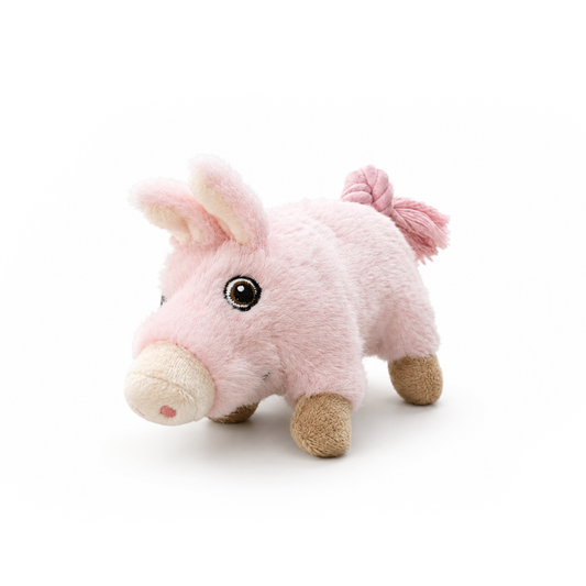 Polly The Little Pig