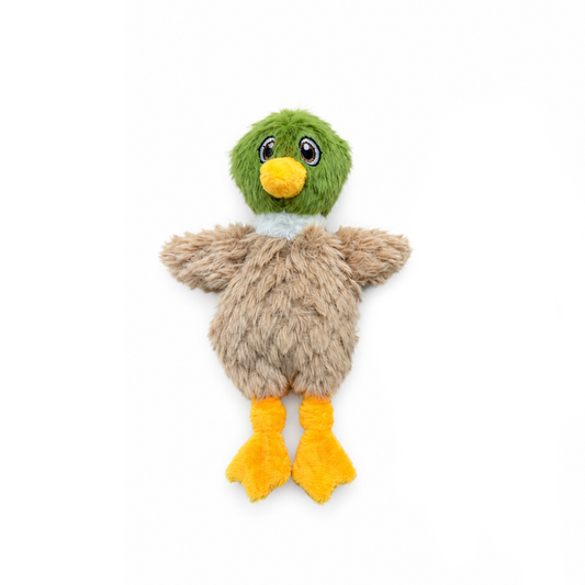 Quackie the Mallard
