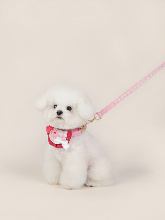 Petal Pink Vegan Leather Collar