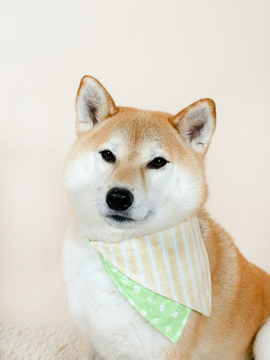 Sweet Honeydew Layered Bandana