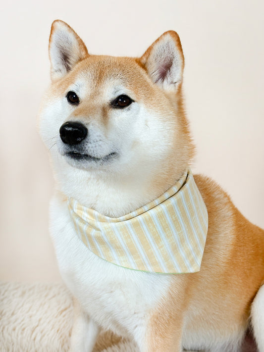 Sweet Honeydew Classic Bandana