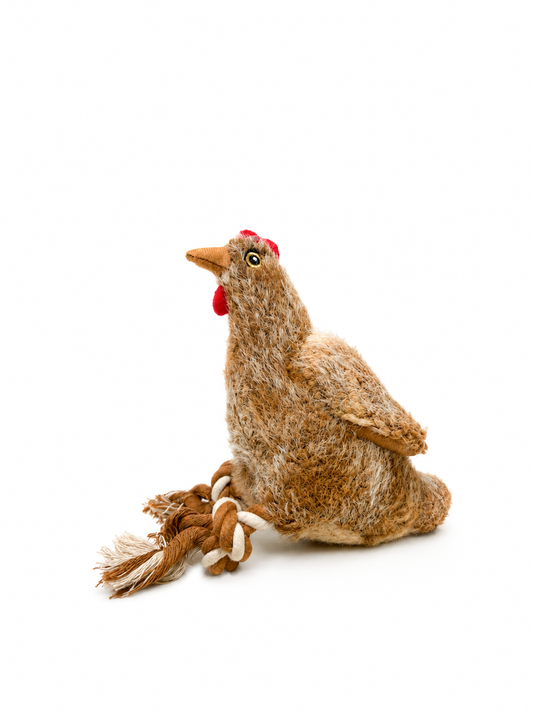 Clucky the Chicken
