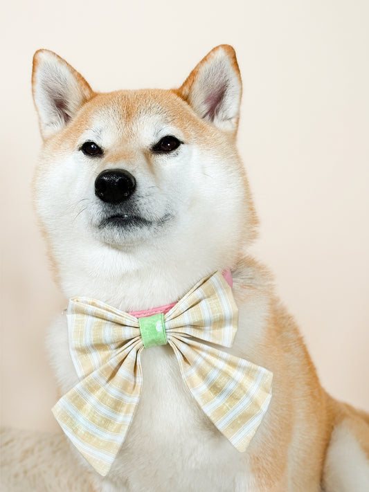 Sweet Honeydew Signature Bow