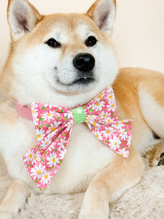 Blossom Bloom Signature Bow