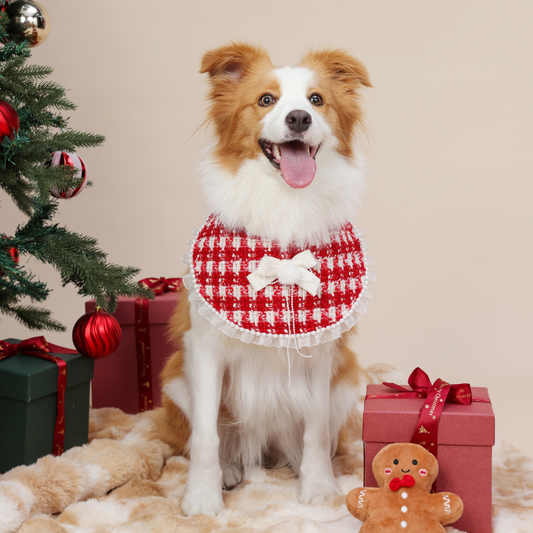 The Cozy Caroler - WANNIE WINSTON