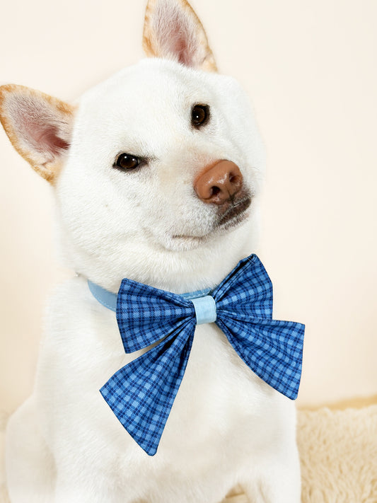 Blue Breeze Signature Bow