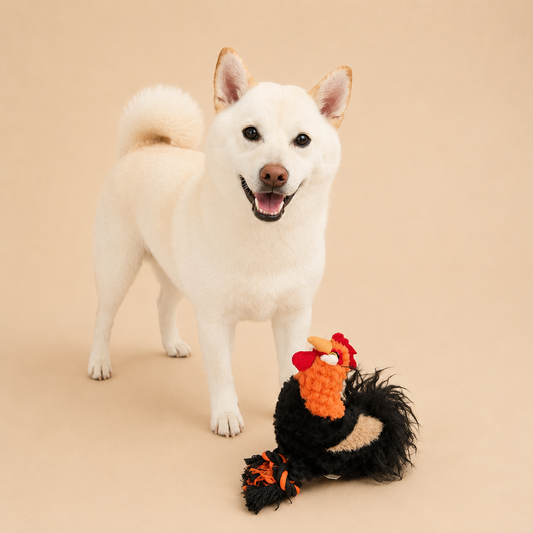 Rufus the Rooster