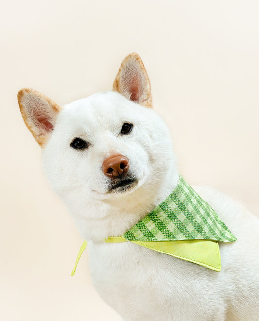 Pine Sprout Layered Bandana