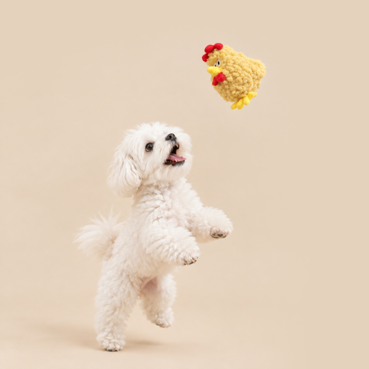 Chickie the Little Chicken