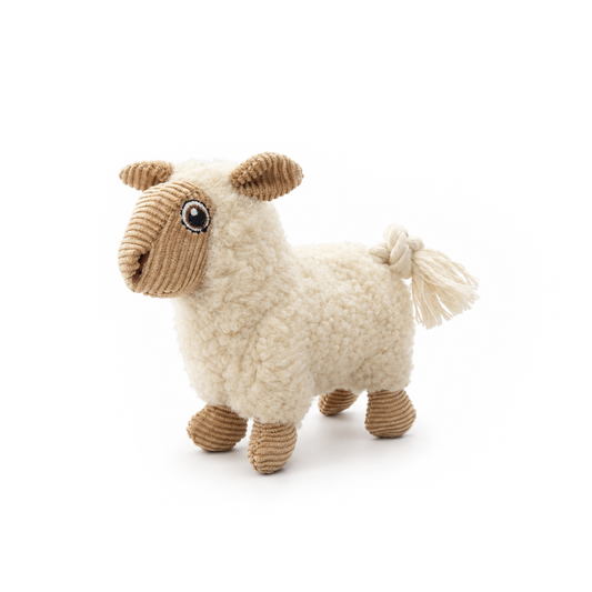 Woolly The Little Sheep