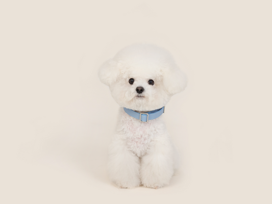 Blissful Blue Vegan Leather Collar