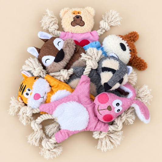 Animal Crinkle Toy Bundle