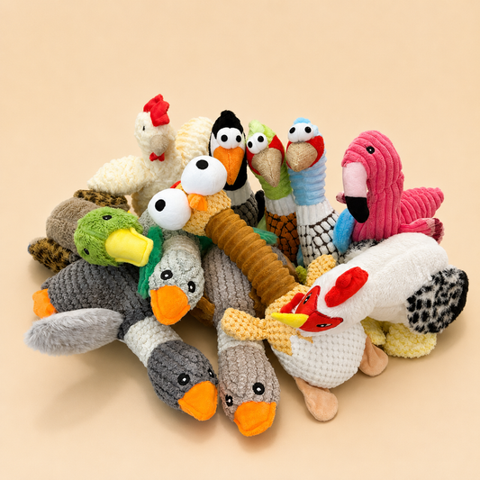 Medium Chicken & Duck Mystery Pack