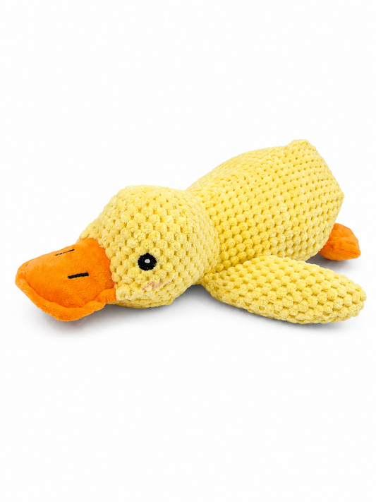 Daffy the Duck Popcorn-Knit Interactive Dog Toy