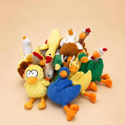 Medium Chicken & Duck Mystery Pack