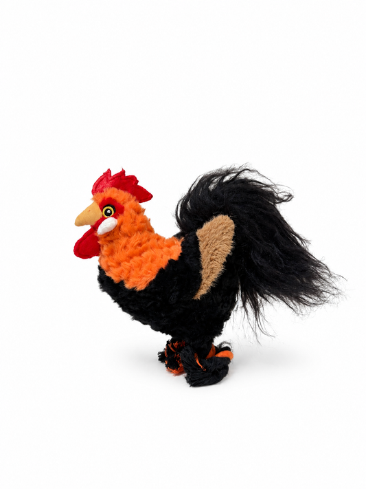 Rufus the Rooster