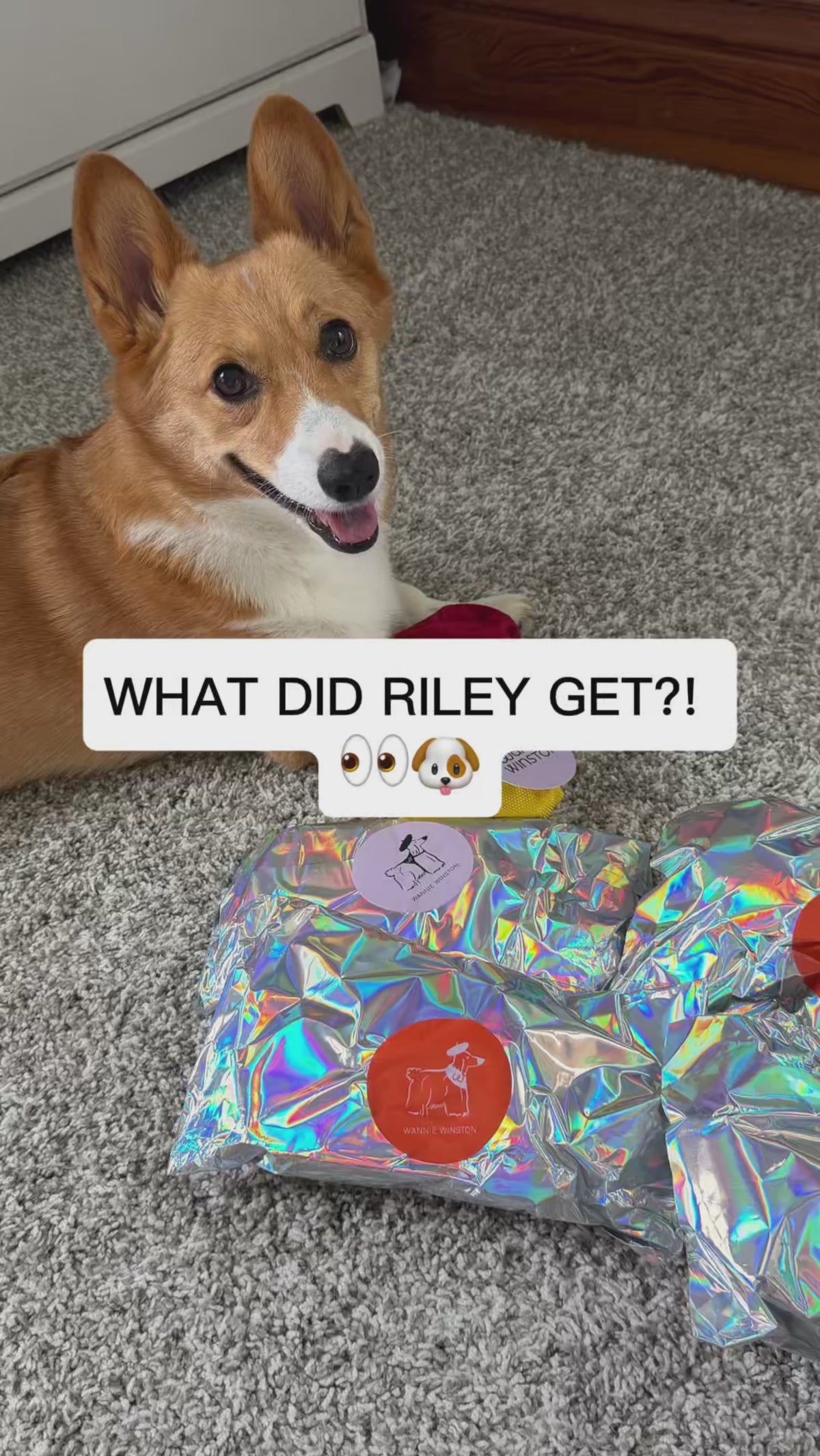 Small Mystery Pack
