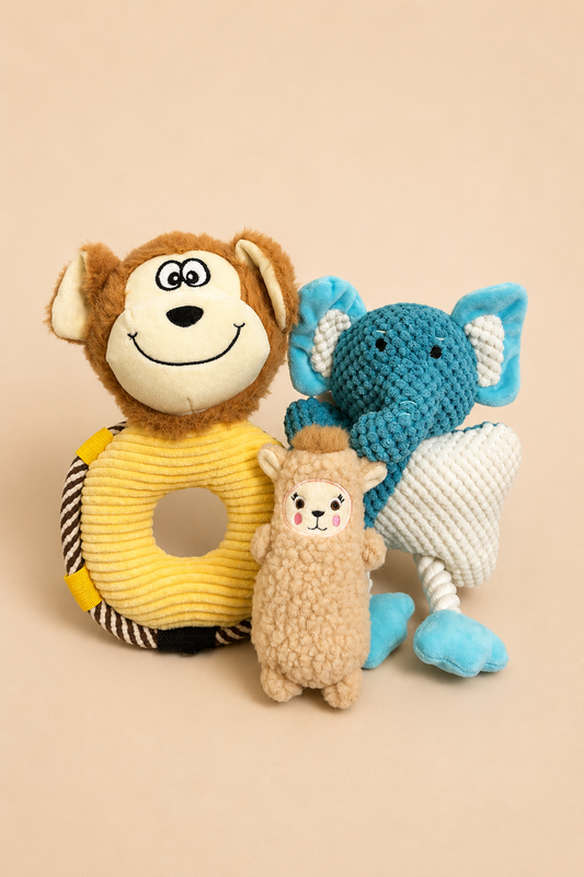 Adventure Pack (1 Small, 2 Medium)